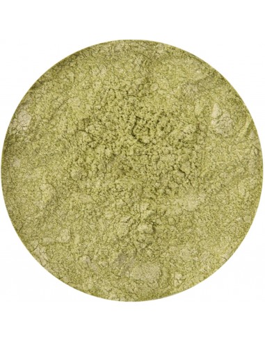 Pigment mineralny nr 26 - Sea Algae - Pure Colors